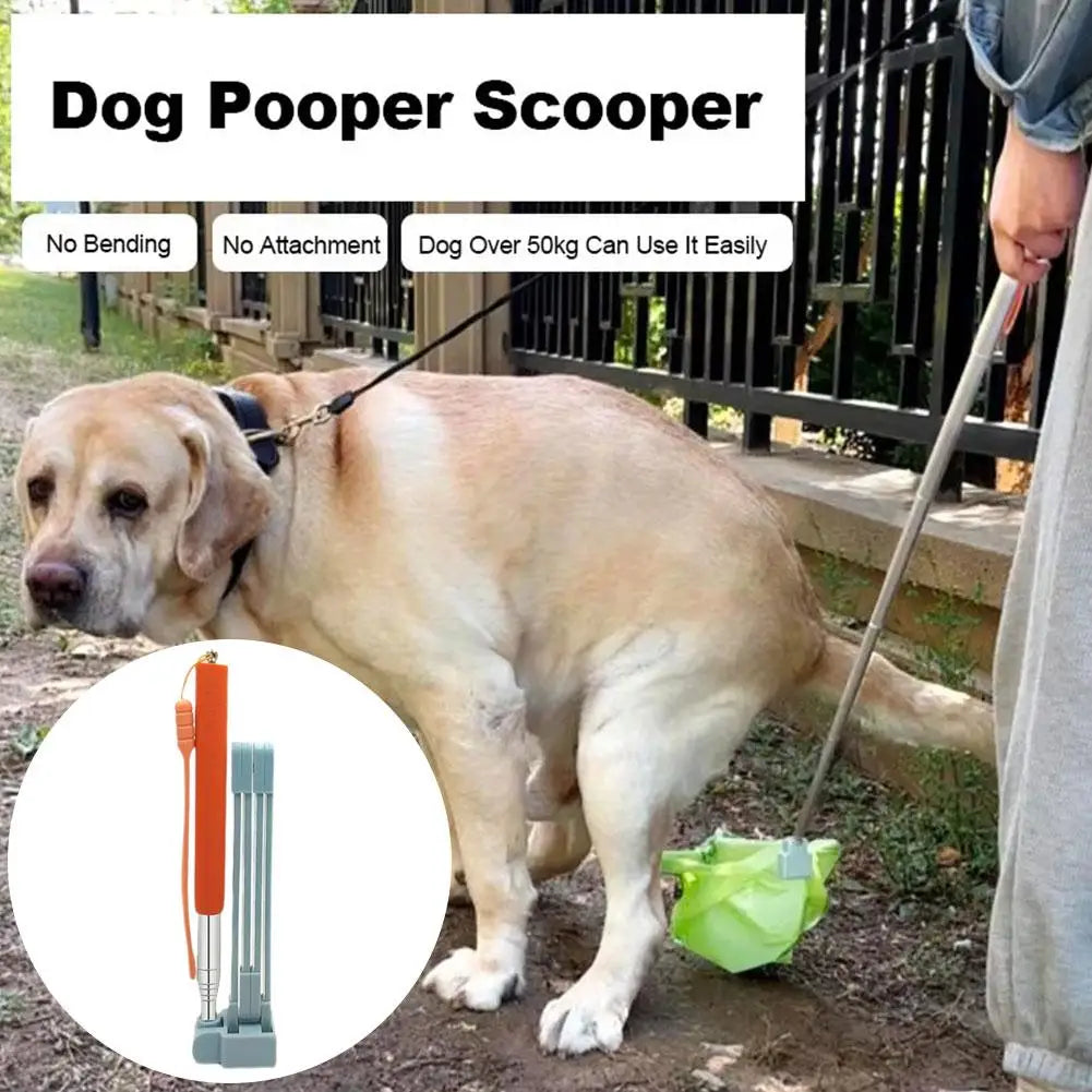 Foldable Long Handle Stainless Steel Dog & Cat Poop Scooper – Hygienic Outdoor Pet Waste Cleaner
