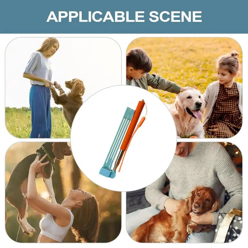 Foldable Long Handle Stainless Steel Dog & Cat Poop Scooper – Hygienic Outdoor Pet Waste Cleaner