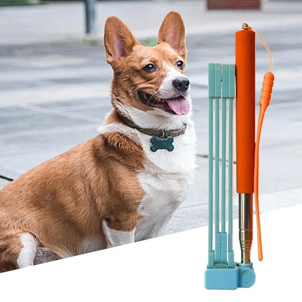 Foldable Long Handle Stainless Steel Dog & Cat Poop Scooper – Hygienic Outdoor Pet Waste Cleaner